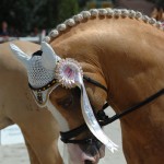 Avec Sönke Rothenberger (GER), l'étalon Deinhard B est double médaillé d'or à Avenches, en 2008 - ph. Camille Kirmann