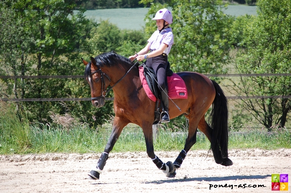 Morgane Euriat en selle sur un nouveau bai... Dragon Heart ! - ph. Camille Kirmann Morgane Euriat en selle sur un nouveau bai... Dragon Heart ! - ph. Camille Kirmann