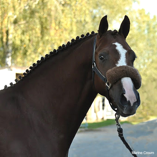 Uhland d'Aven - ph. Marine Croum Uhland d'Aven - ph. Marine Croum
