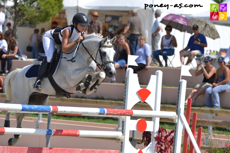 Qualou des Muses, tout comme quatre nouveaux étalons, a rejoint Poney As - ph.-Pauline-Bernuchon Qualou des Muses, tout comme quatre nouveaux étalons, a rejoint Poney As - ph.-Pauline-Bernuchon