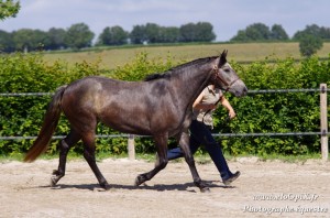 Valongoria de Seguret - ph. EloOpiX