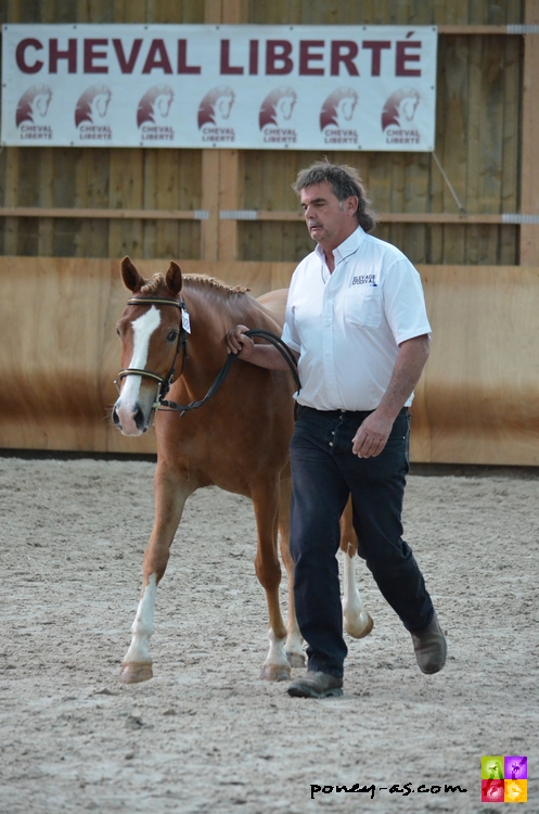 Altesse d'Odival suitée de Dibouti d'Odival par Djbouti Ys - ph. Camille Kirmann Altesse d'Odival suitée de Dibouti d'Odival par Djbouti Ys - ph. Camille Kirmann