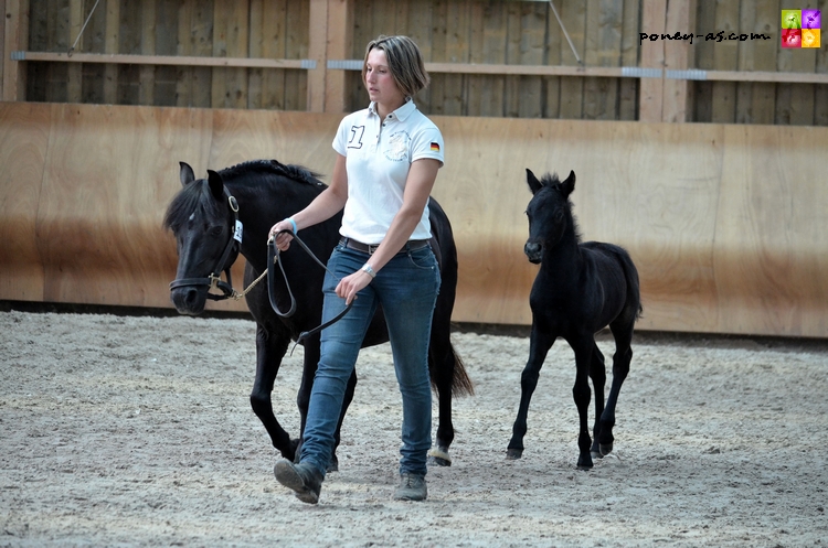 Harebelle du Bardet suitée de Dragibus du Rond Pré par Swincombetor Monty - ph. Camille Kirmann Harebelle du Bardet suitée de Dragibus du Rond Pré par Swincombetor Monty - ph. Camille Kirmann