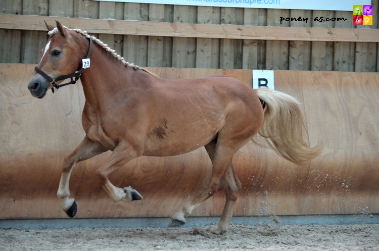 Nielle Pia Voilac - ph. Camille Kirmann Nielle Pia Voilac - ph. Camille Kirmann