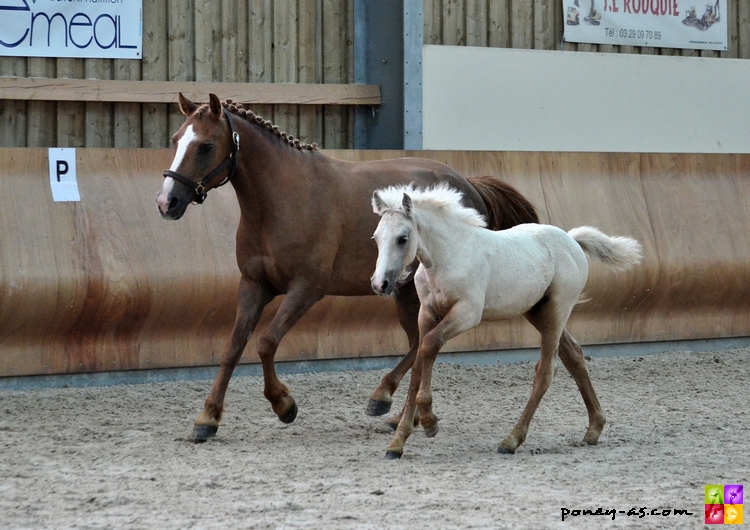 Sereale del Navajo suitée de Daphne on Time par Feu d'Granit Pondi - ph. Camille Kirmann Sereale del Navajo suitée de Daphne on Time par Feu d'Granit Pondi - ph. Camille Kirmann