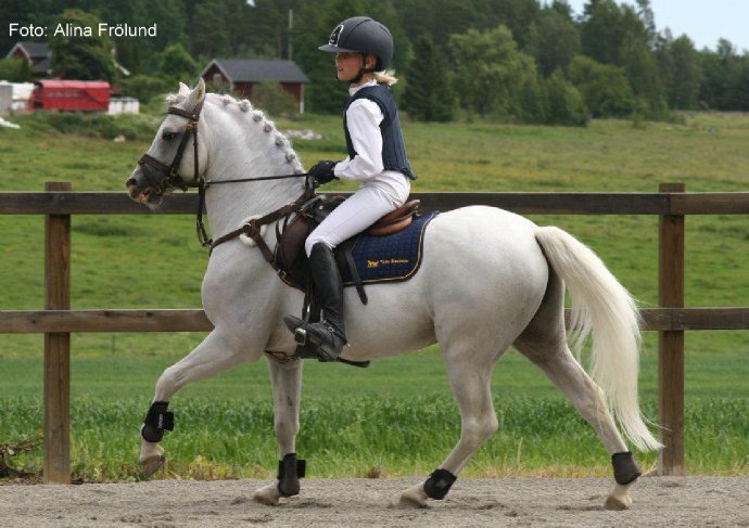 Kulltorps Yrrol - ph. Alina Frölund