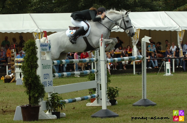 Sillogue Darkie aux championnats d'Europe 2007 - ph. Poney As