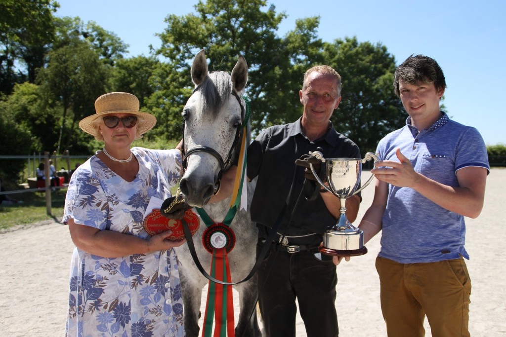 Very Sweet Melody, Championne suprême 2014 - ph. coll. Morvan Bourgogne Connemara