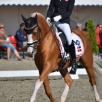 Sandra Aagaard Hyrm et Der Harlekin B pour le Danemark, 10e - ph. Camille Kirmann