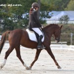 Amaro de la Biolée (Pfs, par Olywood de Blonde), 7e et Excellent associé à Véronique Brasiles - ph. Pauline Bernuchon