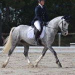 Ascott du Tiare (W, par Vinci du Logis, Wb), 16e et Très Bon avec Anne-Sophie Dauphinot - ph. Pauline Bernuchon