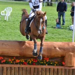 Calvin Böckmann (Ger) et Askaban B - ph. Pauline Bernuchon