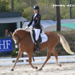 Dirla (Drp, par Djbouti) est sacrée championne des 4 ans sous la selle de la Belge Amandine Prevost - ph. Pauline Bernuchon