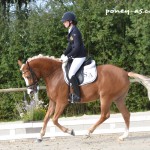 Dirla (Drp, par Djbouti) est sacrée championne des 4 ans sous la selle de la Belge Amandine Prevost - ph. Pauline Bernuchon