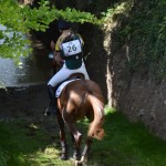 Le cross de Millstreet - ph. Camille Kirmann