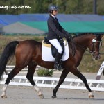 Vasco de Montlieu (Pfs, par Kooihuster Teake SL), 7e et Excellent sous la selle de Nathalie Blondel - ph. Pauline Bernuchon