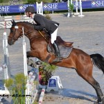 Appy Dame Vincou (Paps Late, Co), frère utérin de la ponette de Grand Prix CSO Haute Dame Mahoud, monté par Simon Robichon - Excellent - ph. Pauline Bernuchon