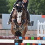 Cadifor Apache, étalon Welsh Cob