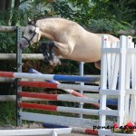 Best Of des Collieres - ph. Camille Kirmann