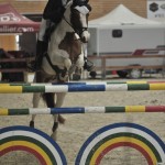 Flora Forestier et Quick Star d'Avril - ph. Eloïse Durand