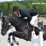 L'étalon Ustinov Landai (Neicop d'Argent, Pfs) et Vincent Mandron - ph. Pauline Bernuchon