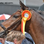 Le beau et bouillant Rocky 536 - ph. Camille Kirmann