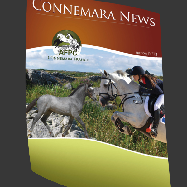 Connerama News n°12