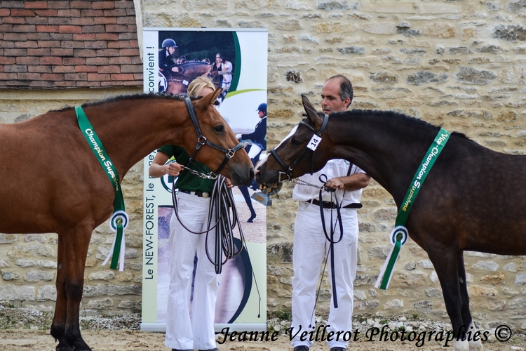 Ceres Lagesse et Cybelle du Vent - ph. Jeanne Veillerot