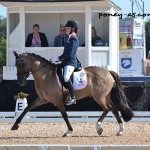 Eveline Bos (Ned) et Hippique Media's Valentino - ph. Pauline Bernuchon