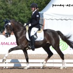 Louise Jönsson (Fin) et Armando - ph. Pauline Bernuchon