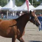 Devinette de Bechevel - ph. Camille Kirmann