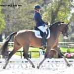 Sophie Taylor (Gbr) et Madam's Miss Maria - ph. Anaïs Barbier