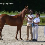 First Berry d'Arengue - ph. Pauline Bernuchon