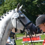 Anna Lena Schaaf (Ger) et Pearl 98 european championships - ph. Poney As