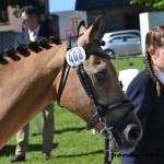 Camille Lucas (Fra) et Risketou Maneti - ph. Pauline Bernuchon