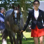 Elégants les français ! Ici Mélissa Prévost et Podeenagh Aluinn avant l'inspection vétérinaire - ph. Pauline Bernuchon