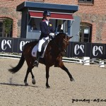 Maddy Whelan (Gbr) et Ode to Shannon - ph. Pauline Bernuchon