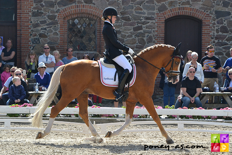 Sara Aagaard Hyrm (Den) et Der Harlekin B - ph. Pauline Bernuchon