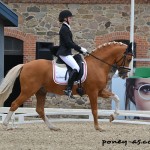 Sara Aagaard Hyrm (Den) et Der Harlekin B - ph. Pauline Bernuchon