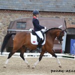 Sophie Taylor (Gbr) et Madam’s Miss Maria - ph. Pauline Bernuchon