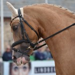 Tabea Schroer (Ger) et Danilo 80 - ph. Pauline Bernuchon