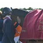 Moment de complicité entre les deux champions d'Europe, Jack et Elando - ph. Pauline Bernuchon