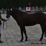 Raboliot d'Argetan - ph. Pauline Bernuchon