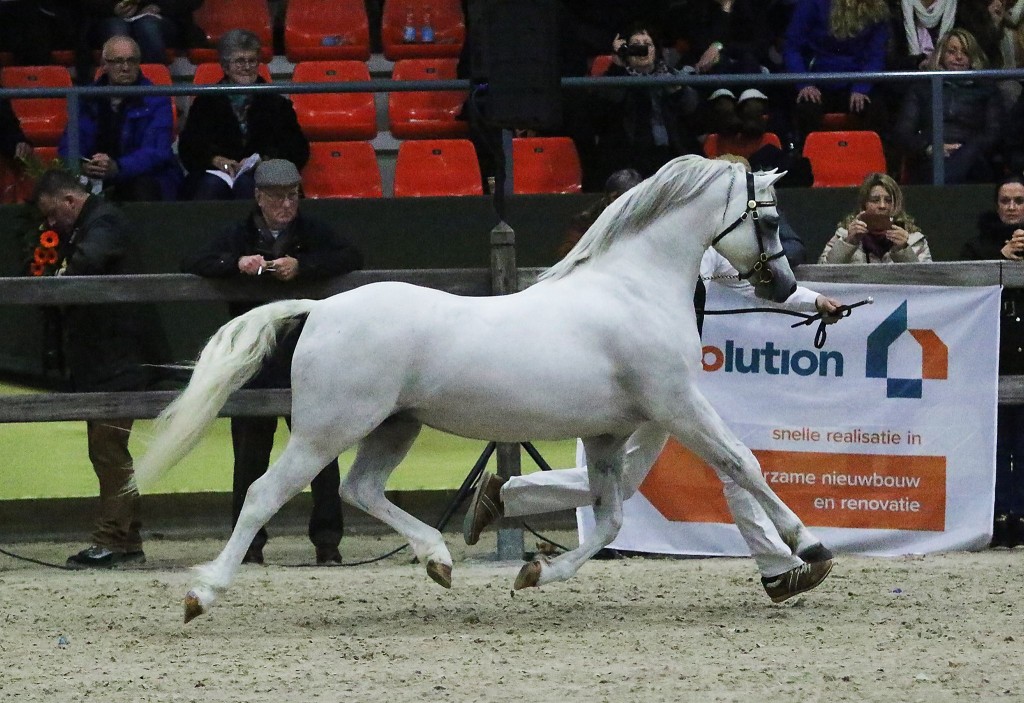 Adagio de l'Aurore à Ermelo en février - ph. Theo Ten Brinke