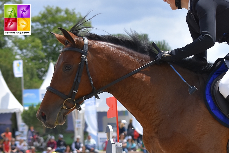 Poney la motte