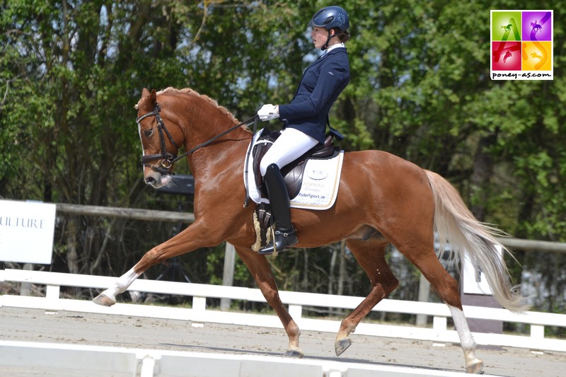 Moa Sundelöf (Swe) et HB Dancing Daylight - ph. Pauline Bernuchon