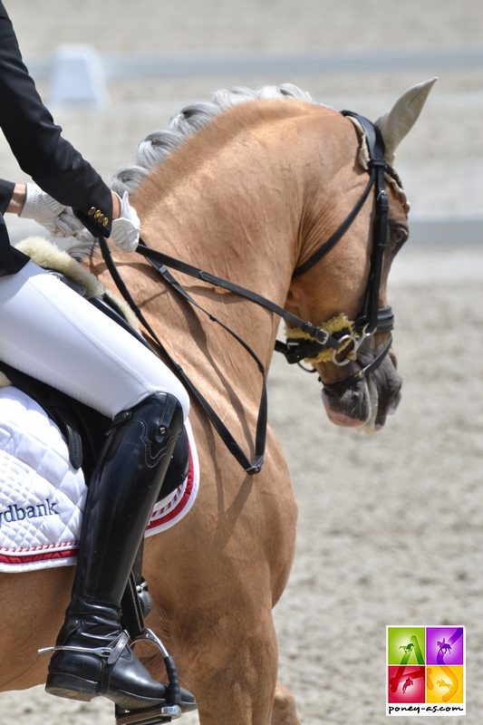 Sofie K. Hansen (Den) et Prince of Glory - ph. Pauline Bernuchon