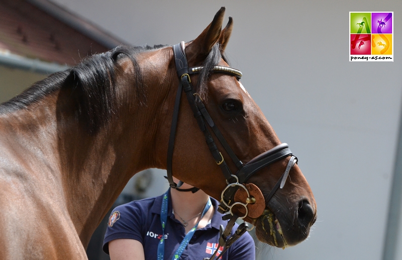 Elle Birken, le poney d'Andrea Bech (Nor) - ph. Pauline Bernuchon