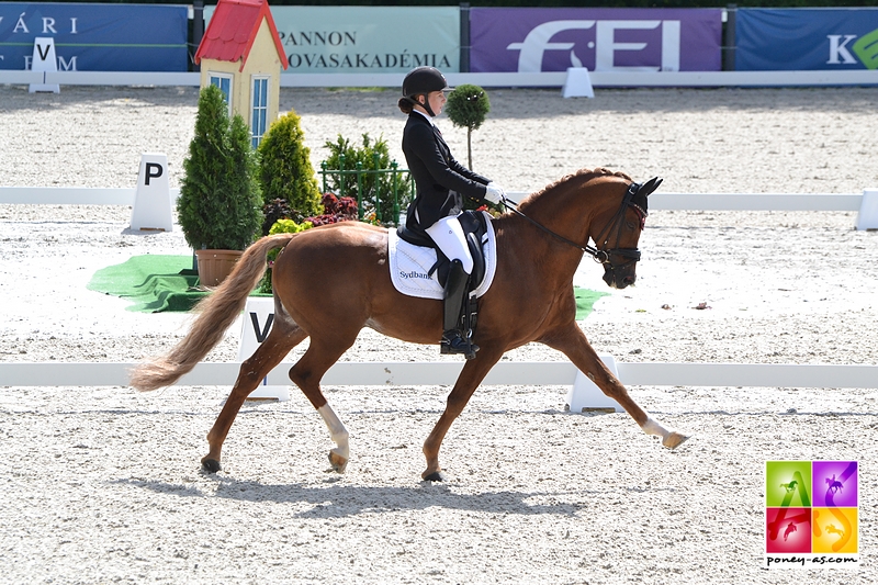 Encore 3 podiums pour Louise Christensen et l'étalon Vegelins Goya ! - ph. Pauline Bernuchon