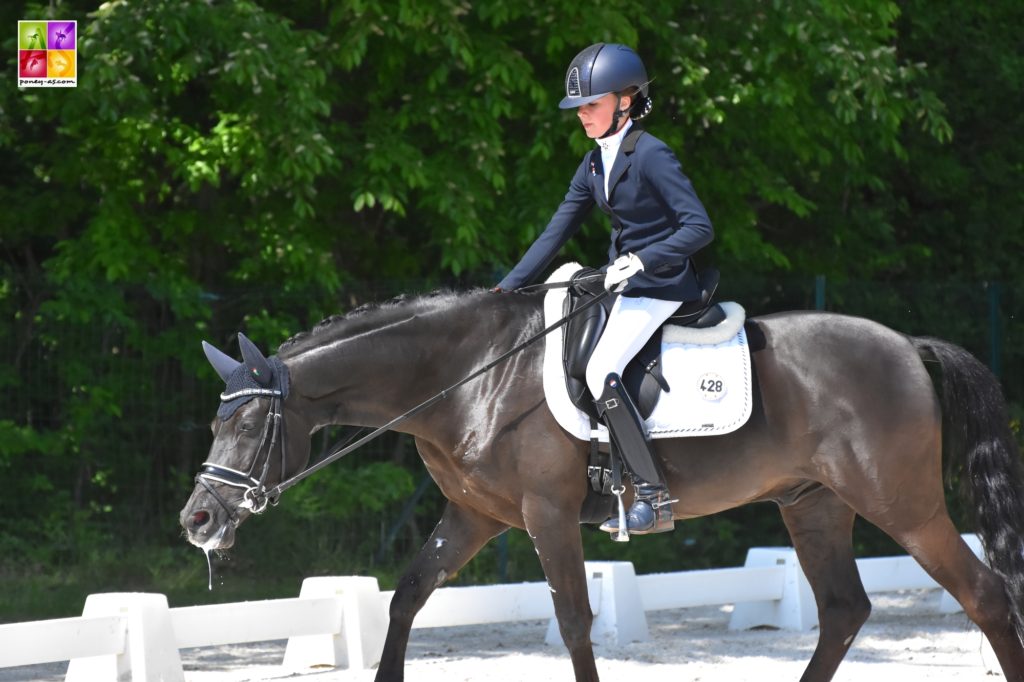 Internationaux de Dressage Compiègne 2018